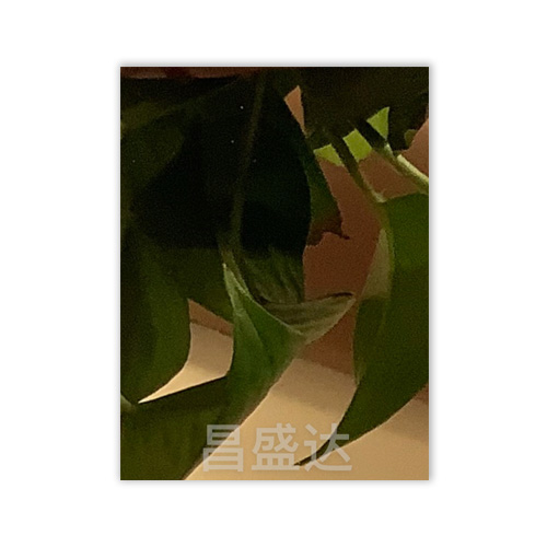 產(chǎn)品名稱(chēng)